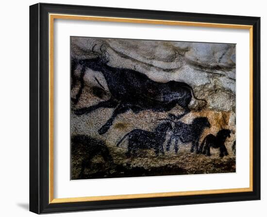 20,000 Year Old Lascaux Cave Painting Done by Cro-Magnon Man in the Dordogne Region, France-Ralph Morse-Framed Photographic Print