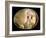 20 Day Old Chick in Egg-null-Framed Photographic Print