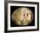 20 Day Old Chick in Egg-null-Framed Photographic Print