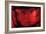 2001: A Space Odyssey, Keir Dullea, 1968-null-Framed Premium Photographic Print