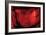 2001: A Space Odyssey, Keir Dullea, 1968-null-Framed Premium Photographic Print