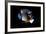 2001: A Space Odyssey, Keir Dullea as Seen Through Hal, 1968-null-Framed Photo