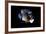 2001: A Space Odyssey, Keir Dullea as Seen Through Hal, 1968-null-Framed Photo