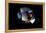 2001: A Space Odyssey, Keir Dullea as Seen Through Hal, 1968-null-Framed Stretched Canvas