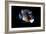 2001: A Space Odyssey, Keir Dullea as Seen Through Hal, 1968-null-Framed Premium Photographic Print