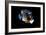 2001: A Space Odyssey, Keir Dullea as Seen Through Hal, 1968-null-Framed Premium Photographic Print