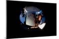 Premium Photographic Print