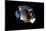 2001: A Space Odyssey, Keir Dullea as Seen Through Hal, 1968-null-Mounted Premium Photographic Print