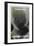 2001: A Space Odyssey, US poster, 1972-null-Framed Premium Giclee Print