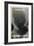 2001: A Space Odyssey, US poster, 1972-null-Framed Premium Giclee Print