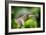 2002-Butterfly House-Gordon Semmens-Framed Photographic Print