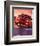 2002 Mustang-No Boundaries-null-Framed Art Print