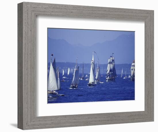 2002 Tall Ships Festival in Elliott Bay, Seattle, Washington, USA-William Sutton-Framed Photographic Print