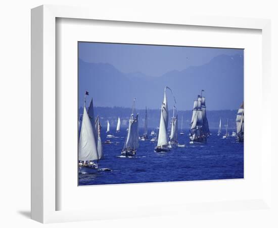 2002 Tall Ships Festival in Elliott Bay, Seattle, Washington, USA-William Sutton-Framed Photographic Print