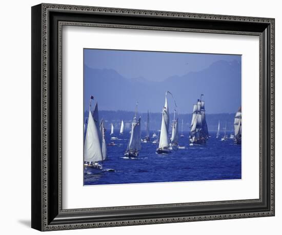 2002 Tall Ships Festival in Elliott Bay, Seattle, Washington, USA-William Sutton-Framed Photographic Print