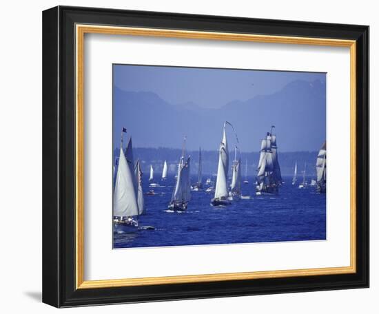 2002 Tall Ships Festival in Elliott Bay, Seattle, Washington, USA-William Sutton-Framed Photographic Print