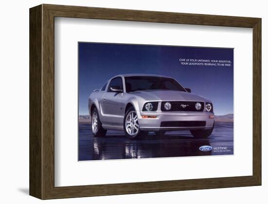 2005 Mustang - Your Untamed-null-Framed Art Print