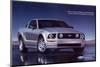 2005 Mustang - Your Untamed-null-Mounted Art Print