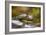 2006-Butterfly House-Gordon Semmens-Framed Photographic Print