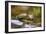 2006-Butterfly House-Gordon Semmens-Framed Photographic Print