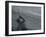 2007 America's Cup Sailing, Valencia, Spain-Bernat Armangue-Framed Photographic Print