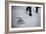 2016 Election Clinton-David Goldman-Framed Photographic Print