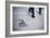 2016 Election Clinton-David Goldman-Framed Photographic Print