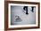 2016 Election Clinton-David Goldman-Framed Photographic Print