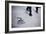 2016 Election Clinton-David Goldman-Framed Photographic Print