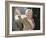 2016 Election Clinton-Seth Wenig-Framed Photographic Print