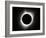 2017 Total Solar Eclipse-null-Framed Photographic Print