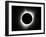 2017 Total Solar Eclipse-null-Framed Photographic Print