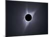 2017 Total Solar Eclipse-null-Mounted Photographic Print