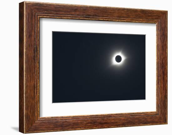 2017 Total Solar Eclipse-null-Framed Photographic Print