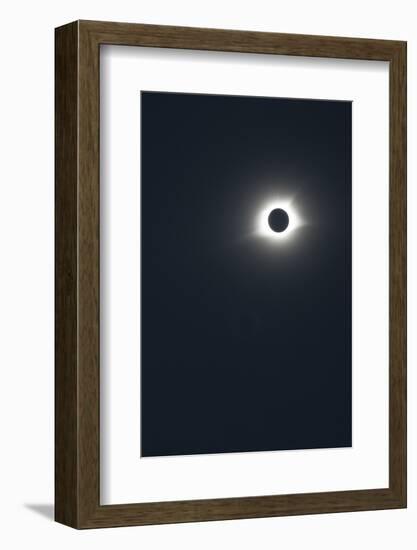 2017 Total Solar Eclipse-null-Framed Photographic Print