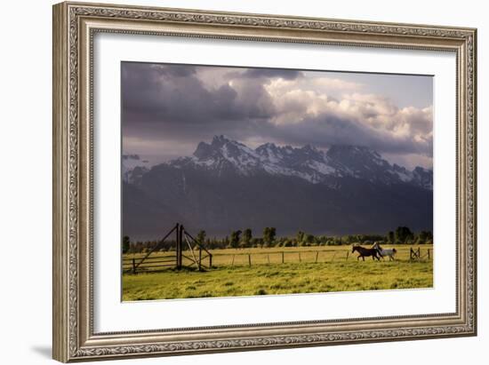 201-Dan Ballard-Framed Photographic Print