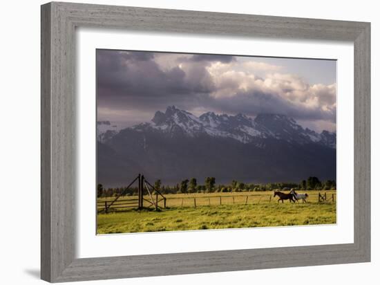 201-Dan Ballard-Framed Photographic Print