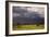 201-Dan Ballard-Framed Photographic Print