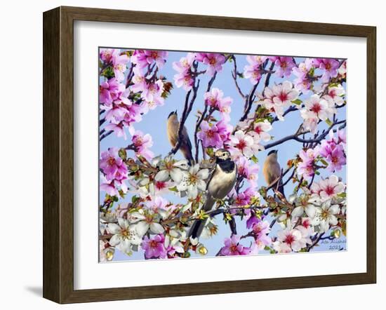 2021 Collection 16-Ata Alishahi-Framed Giclee Print