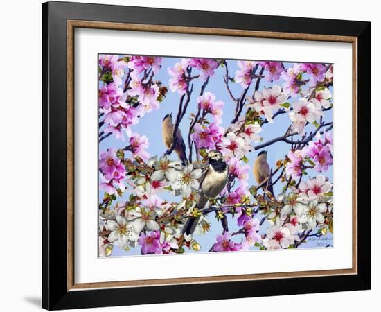 2021 Collection 16-Ata Alishahi-Framed Giclee Print