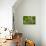 2028-Butterfly House-Gordon Semmens-Photographic Print displayed on a wall