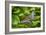 2028-Butterfly House-Gordon Semmens-Framed Photographic Print