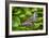 2028-Butterfly House-Gordon Semmens-Framed Photographic Print