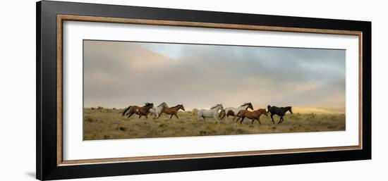 204-Dan Ballard-Framed Photographic Print