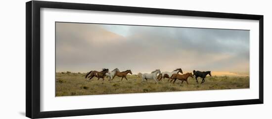 204-Dan Ballard-Framed Photographic Print