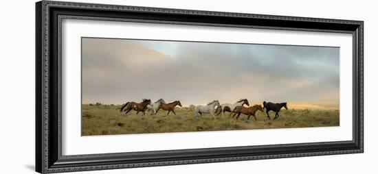 204-Dan Ballard-Framed Photographic Print