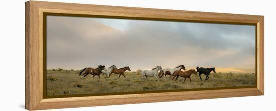 204-Dan Ballard-Framed Premier Image Canvas