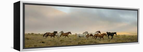 204-Dan Ballard-Framed Premier Image Canvas