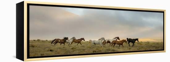 204-Dan Ballard-Framed Premier Image Canvas