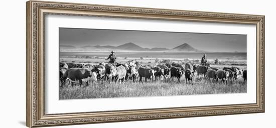 207-Dan Ballard-Framed Photographic Print